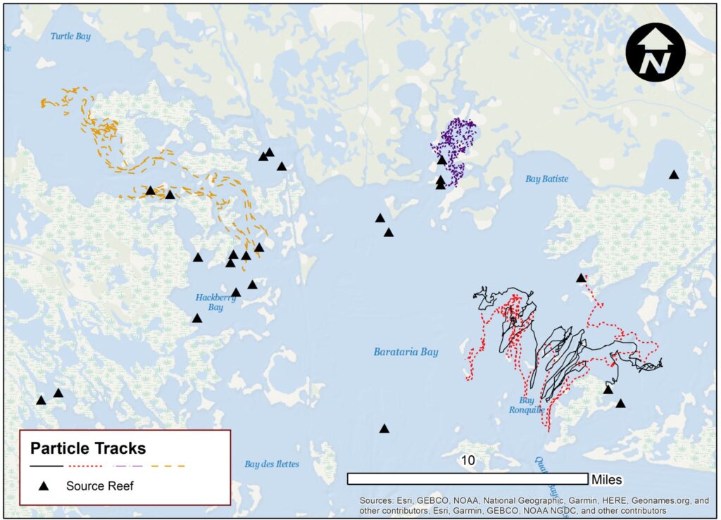 Oyster population modeling across coastal Louisiana
